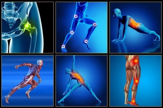 how to repair your hip flexors